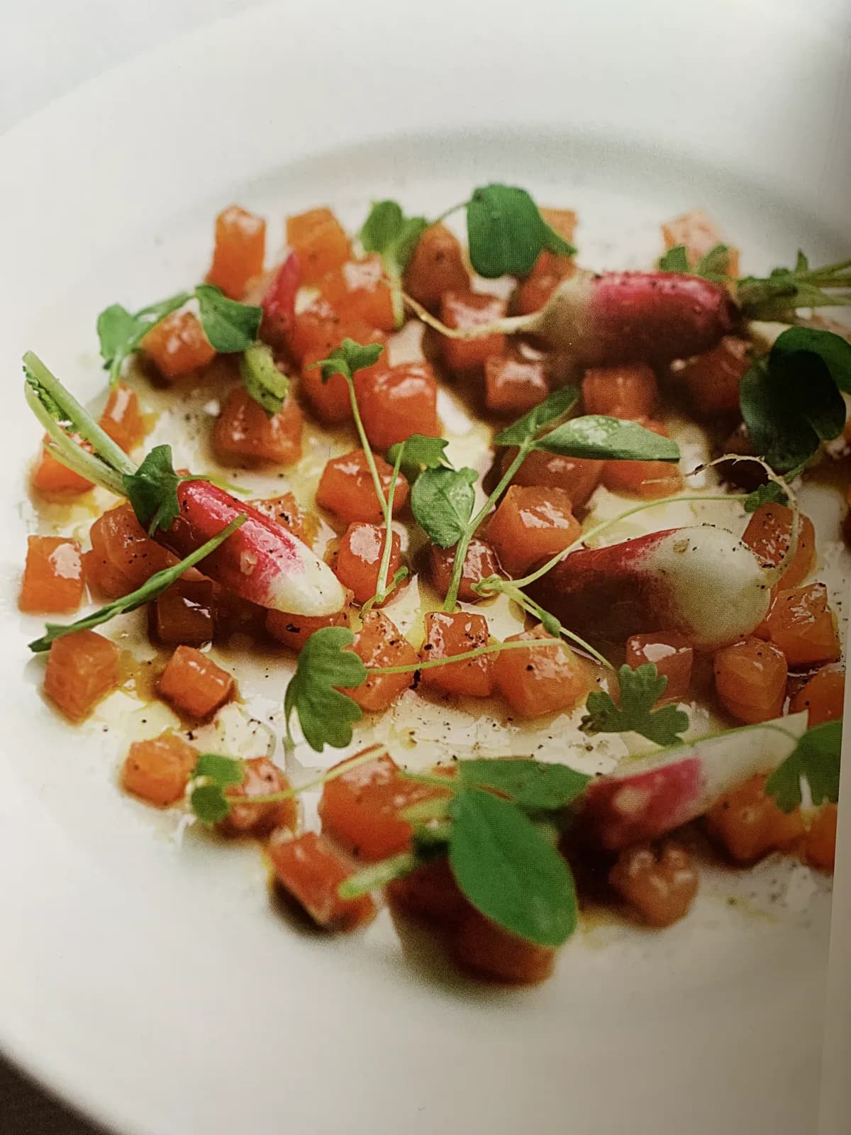 Tartare de saumon
